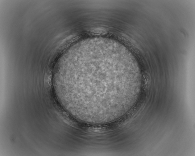 X0000114500745200911091109