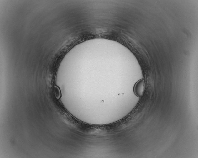 X0000114500750200911091109