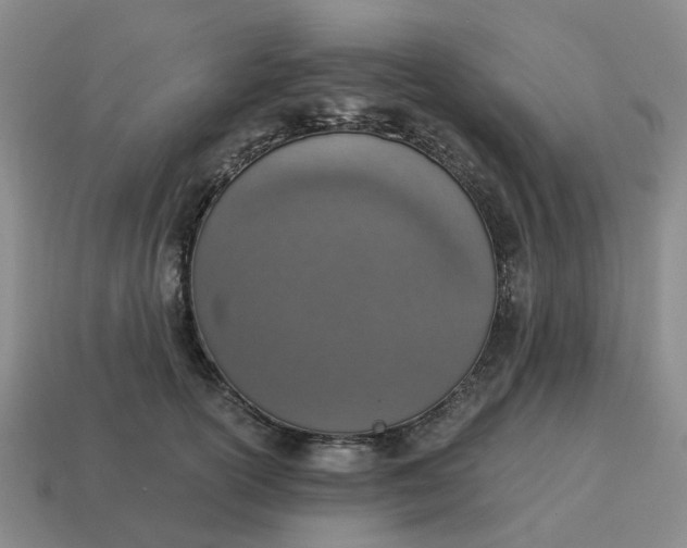 X0000114500754200911091109