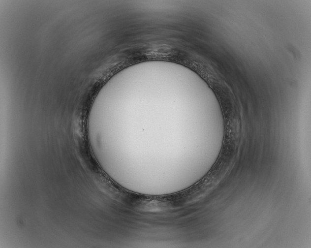 X0000114500755200911091109