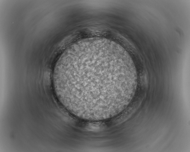 X0000114500757200911091109