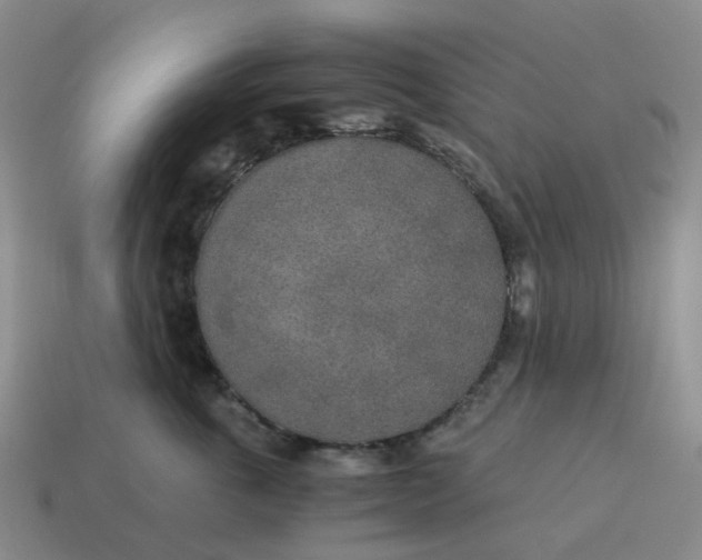X0000114500763200911091109