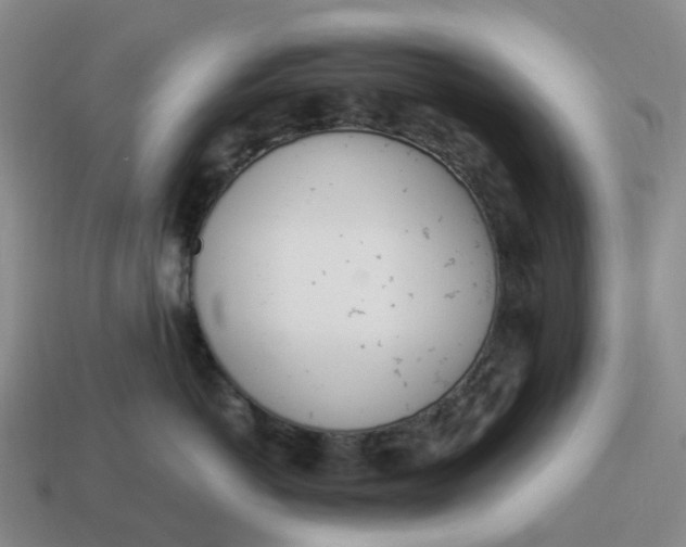 X0000114500766200911091109