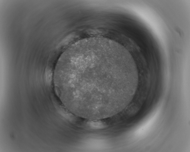 X0000114500767200911091109