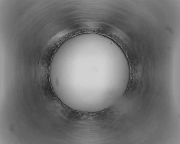 X0000114500773200911091109