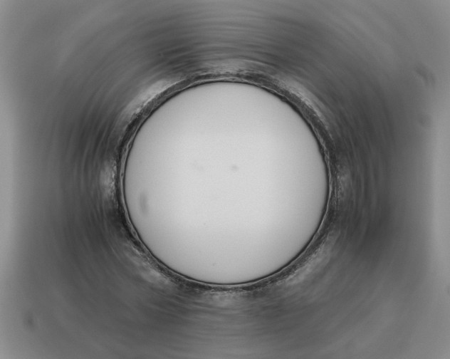X0000114500778200911091109