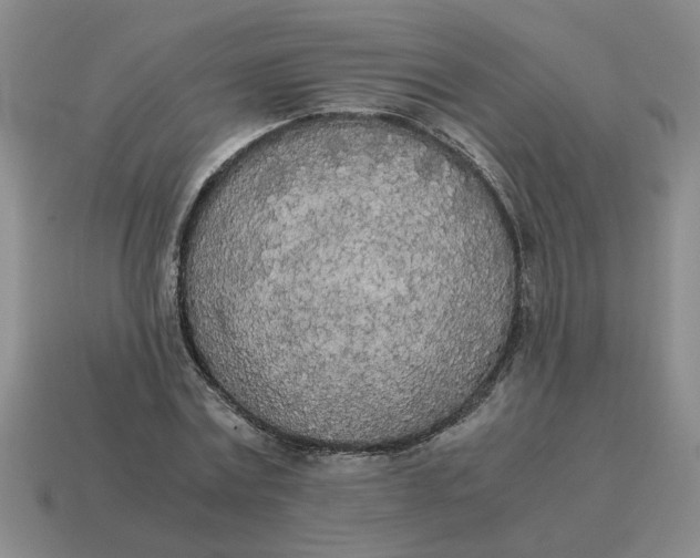 X0000114500779200911091109