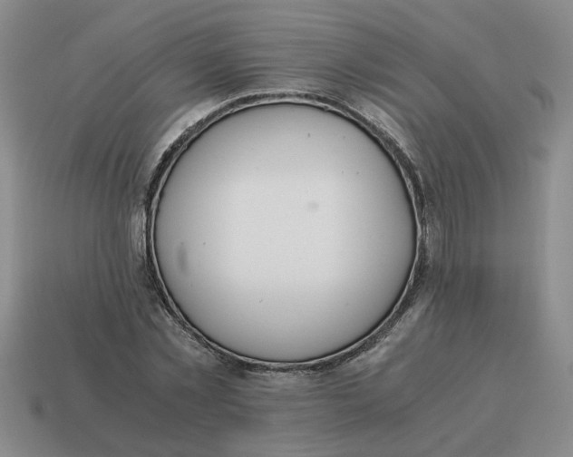 X0000114500781200911091109