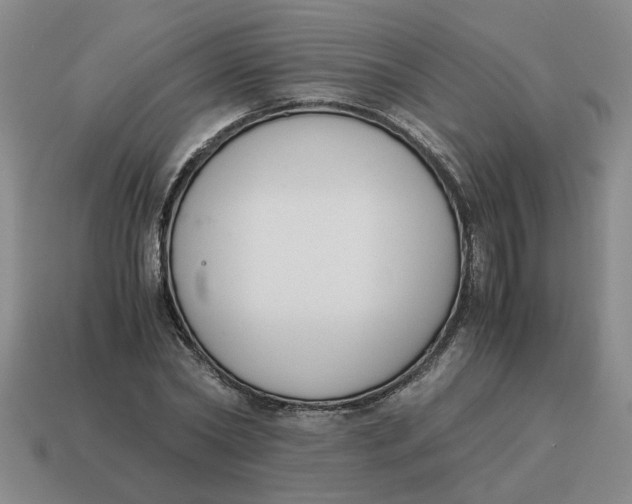 X0000114500782200911091109