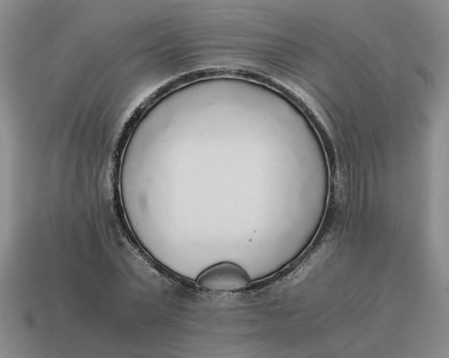 X0000114500783200911091109