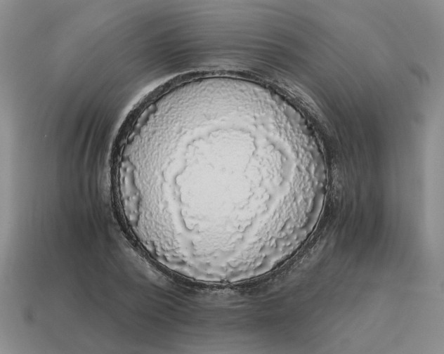 X0000114500784200911091109