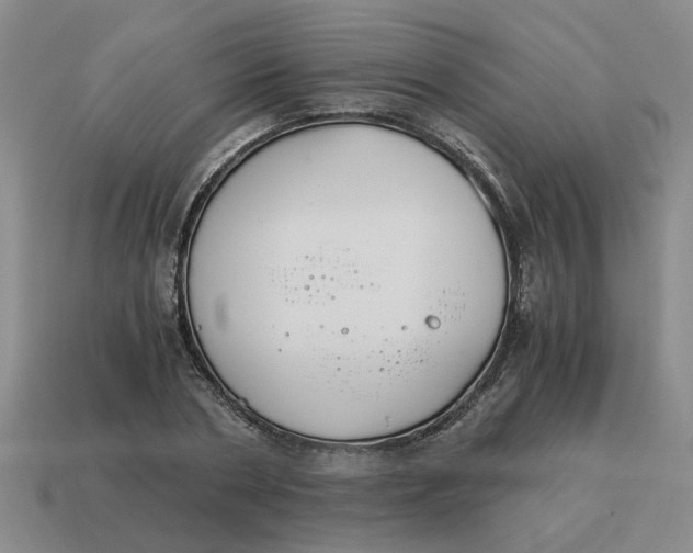 X0000114500786200911091108