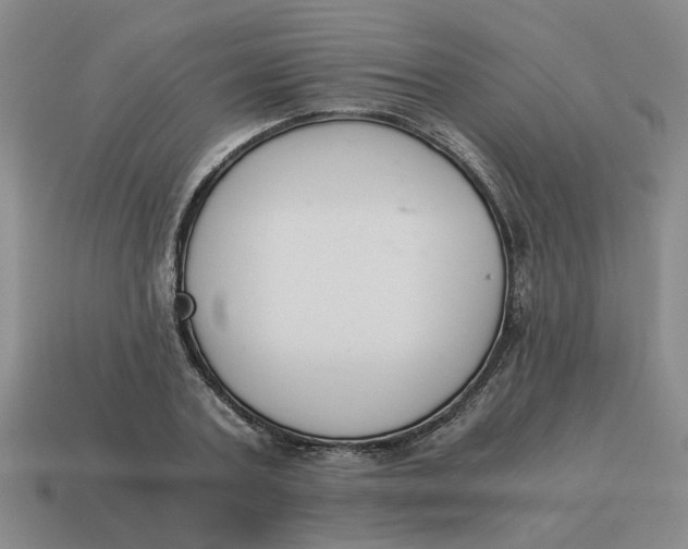 X0000114500787200911091108