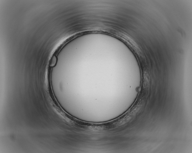 X0000114500788200911091108
