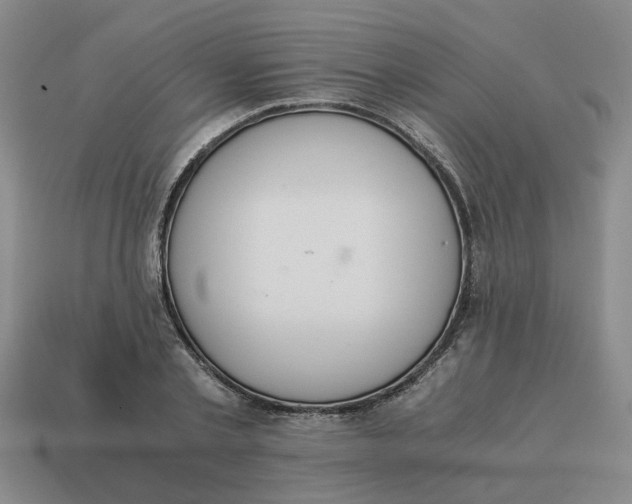 X0000114500789200911091108
