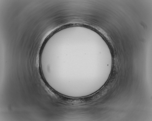 X0000114500791200911091108