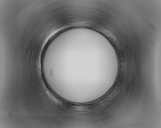 X0000114500792200911091108