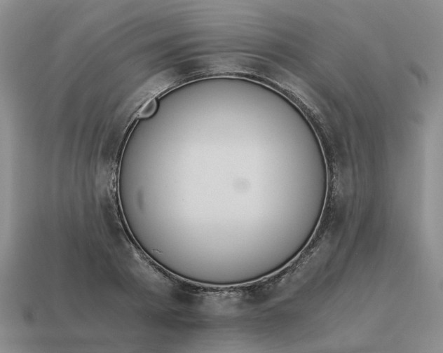 X0000114500793200911091108