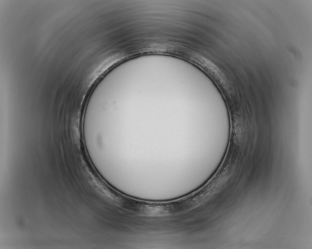 X0000114500794200911091108