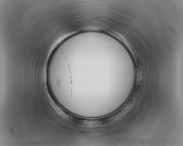 X0000114500795200911091108