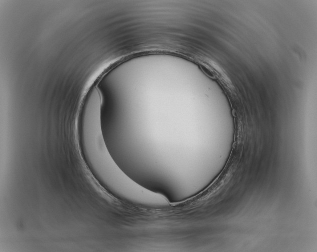 X0000114500796200911091108