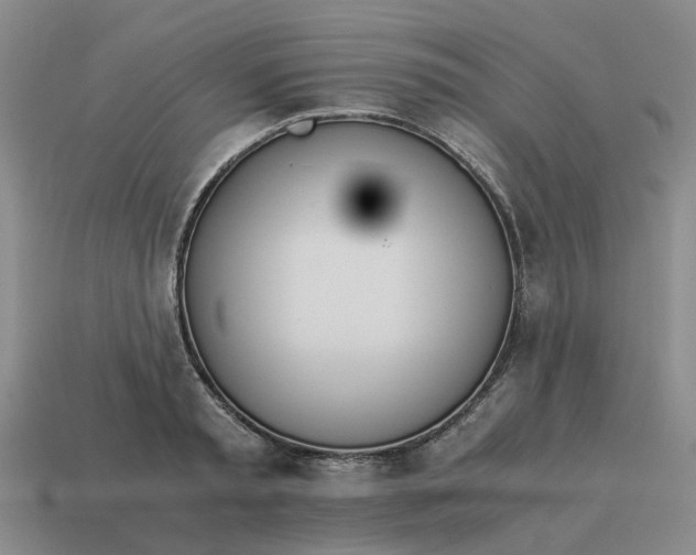 X0000114500797200911091108