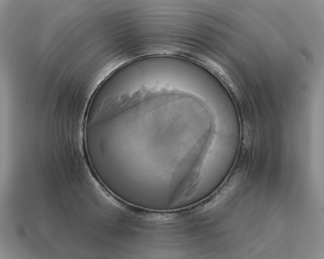 X0000114500802200911091108