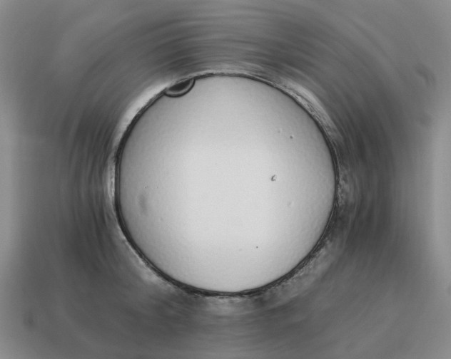 X0000114500804200911091108