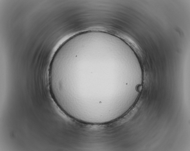 X0000114500808200911091108