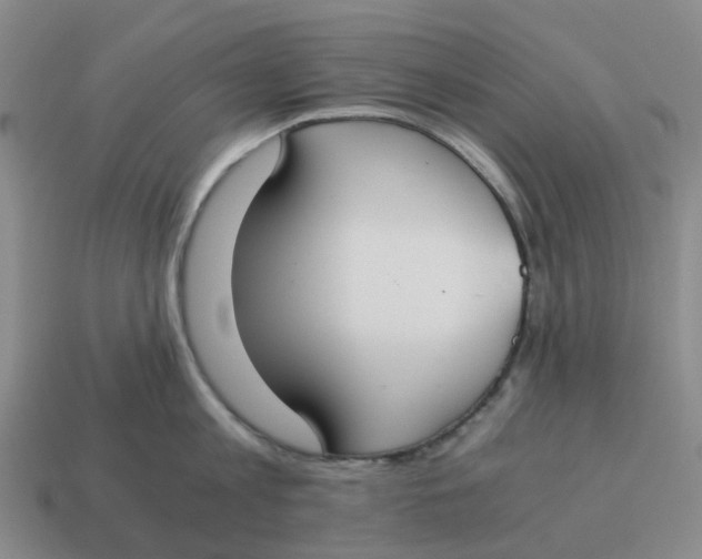 X0000114500813200911091108