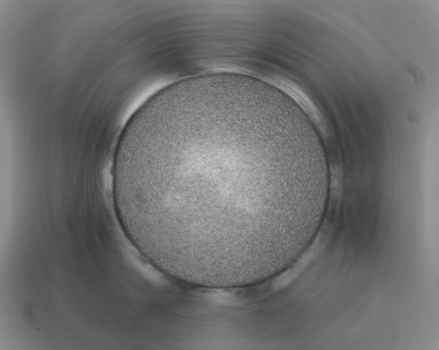 X0000114500814200911091108