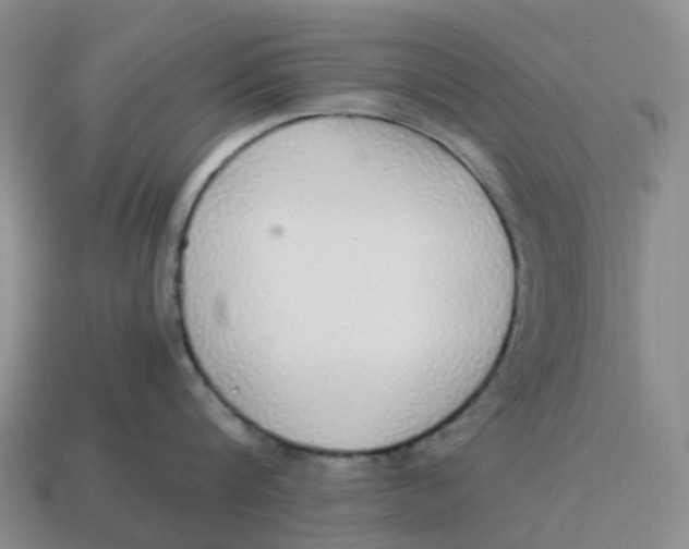 X0000114500816200911091108