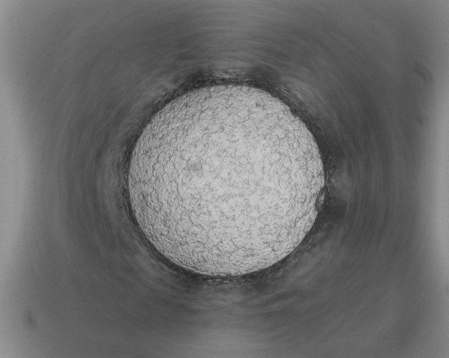 X0000114500817200911091107