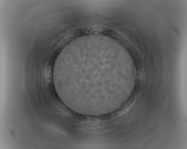 X0000114500818200911091107