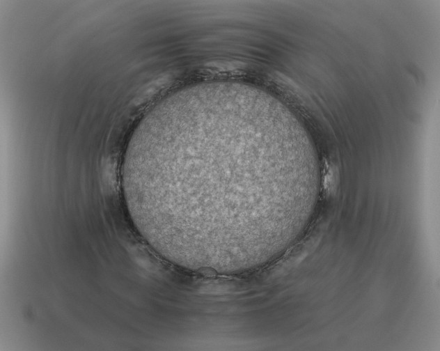 X0000114500819200911091107