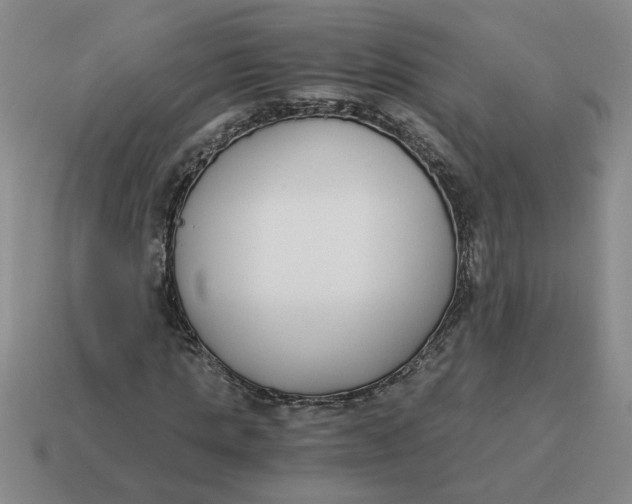 X0000114500821200911091107