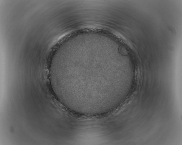 X0000114500822200911091107