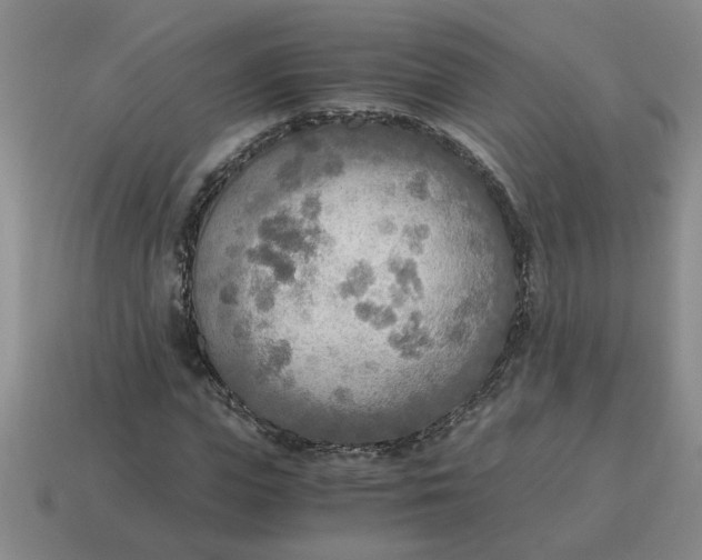 X0000114500823200911091107