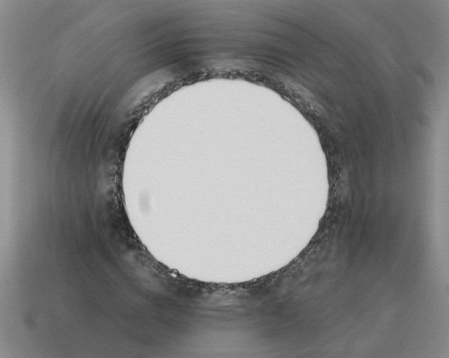 X0000114500824200911091107