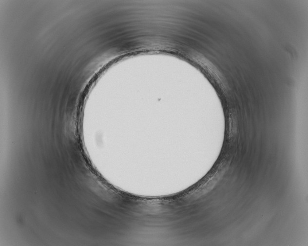X0000114500828200911091107