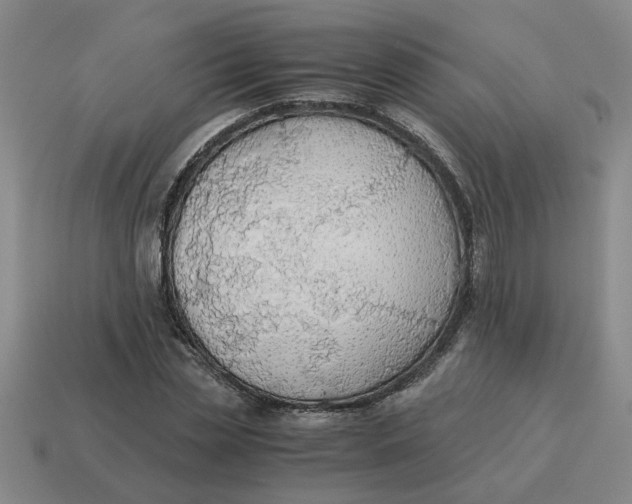 X0000114500829200911091107