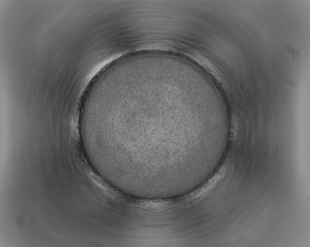 X0000114500830200911091107