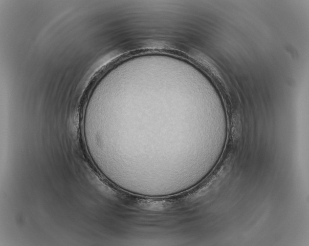 X0000114500831200911091108