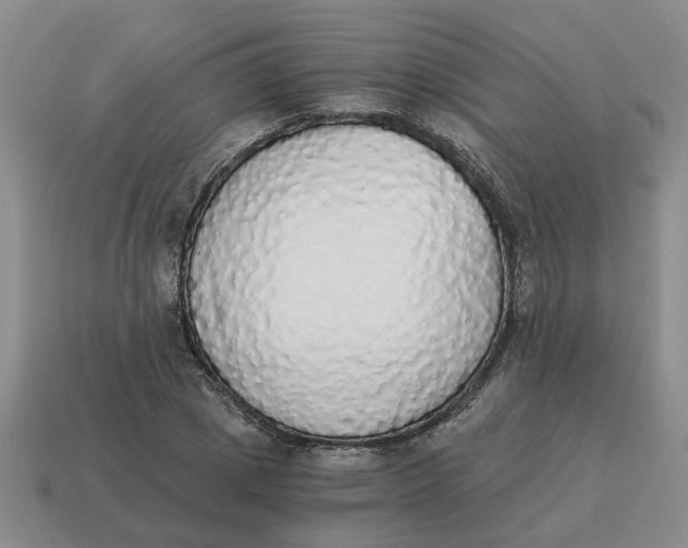 X0000114500833200911091108
