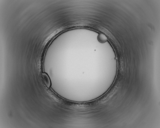 X0000114500834200911091108