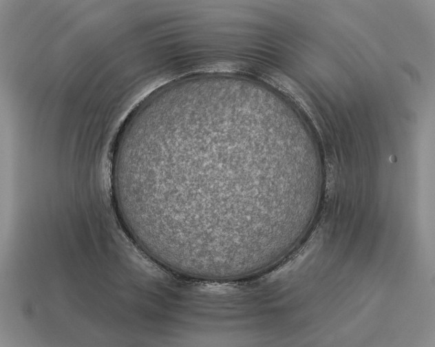 X0000114500835200911091108