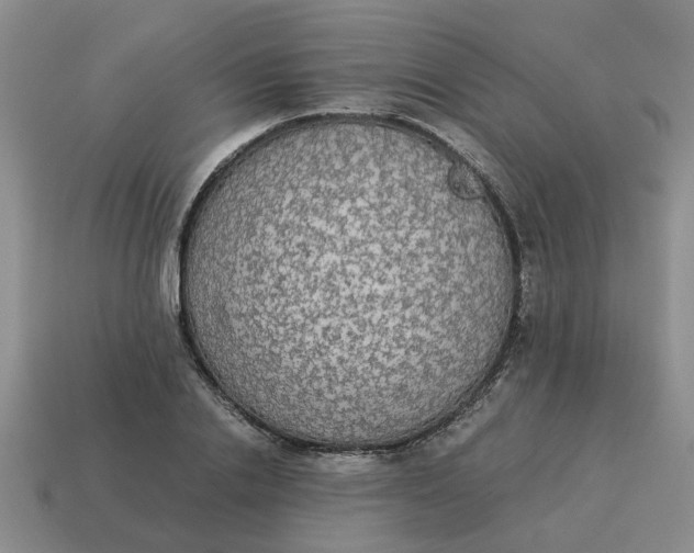 X0000114500838200911091108