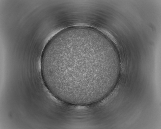 X0000114500839200911091108