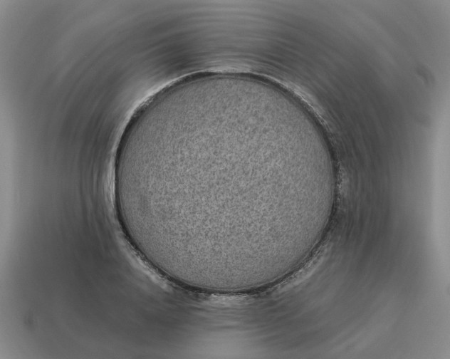 X0000114500840200911091108