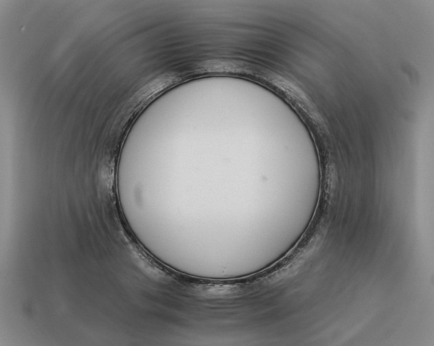 X0000114500841200911091108